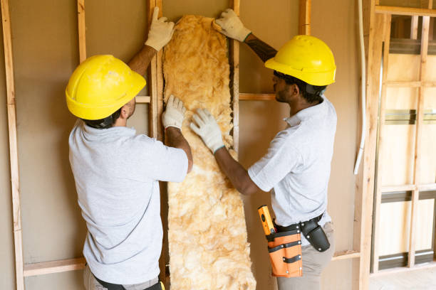 Best Batt and Roll Insulation  in Colusa, CA